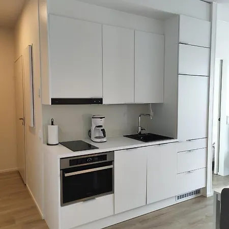 Taiga Daire Rovaniemi